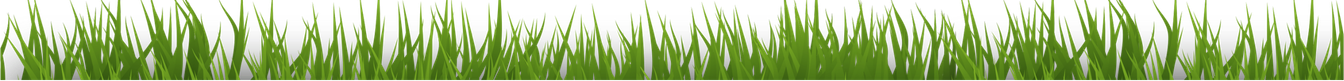 Green grass border representing natural outdoor play spaces for children